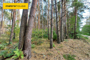 Działka na sprzedaż 130394m2 bialski Janów Podlaski Klonownica Mała - zdjęcie 1