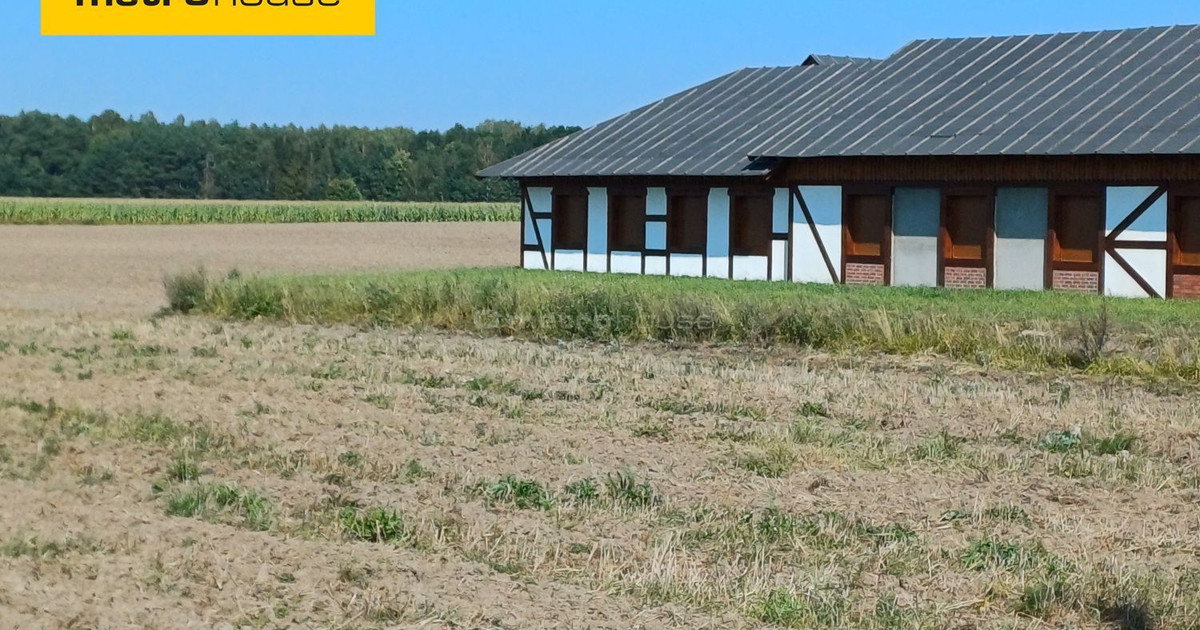 Duża działka budowlana na Kaszubach przy lesie