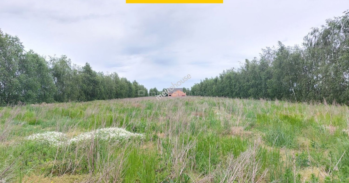 DZIAŁKA POD ZABUDOWĘ JEDNORODZINNĄ RADZEWO, KÓRNIK