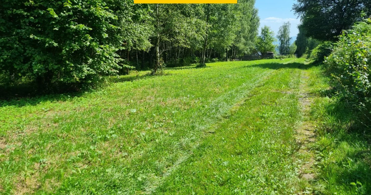 Działka budowlana w lesie! zamieszkaj w naturze