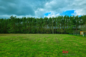 Działka na sprzedaż 4989m2 milicki Krośnice Łazy Wielkie - zdjęcie 1