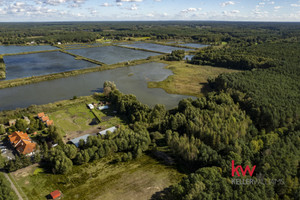 Działka na sprzedaż 6632m2 nowotomyski Miedzichowo Trzciel-Odbudowa - zdjęcie 1