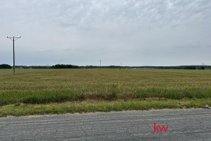 Działka na sprzedaż 26400m2 oleśnicki Dobroszyce - zdjęcie 3