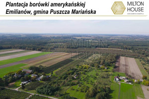 Dom na sprzedaż 200m2 żyrardowski Puszcza Mariańska Emilianów - zdjęcie 1