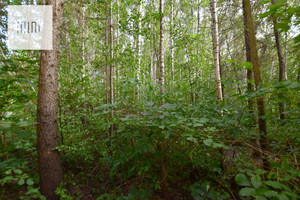 Działka na sprzedaż 1700m2 rzeszowski Trzebownisko - zdjęcie 3