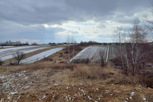 Działka na sprzedaż 1800m2 krakowski Skała - zdjęcie 2