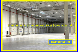 Komercyjne do wynajęcia 10295m2 Katowice - zdjęcie 1