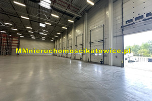 Komercyjne do wynajęcia 2500m2 Katowice - zdjęcie 2