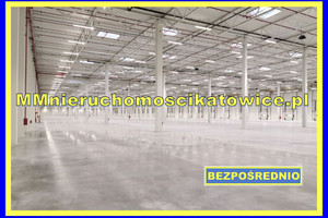 Komercyjne do wynajęcia 22150m2 łowicki Łowicz - zdjęcie 1