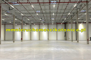 Komercyjne do wynajęcia 3430m2 Katowice - zdjęcie 2