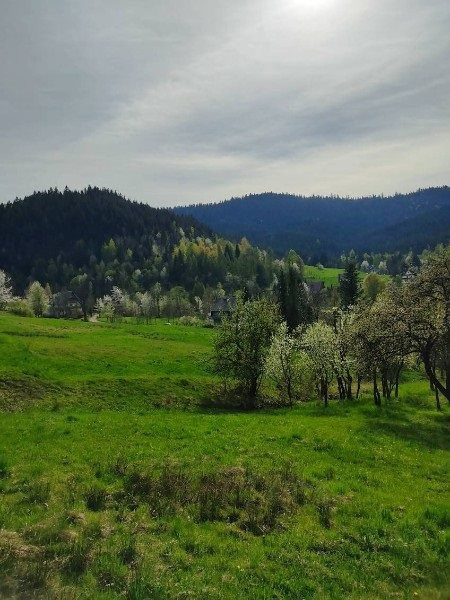 Widokowa działka u stóp Gorców