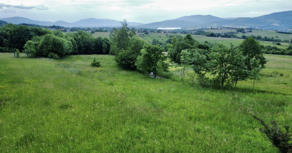 Atrakcyjna widokowa działka rolna - Rychwałd