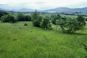 Działka na sprzedaż 1100m2 żywiecki Gilowice Rychwałd - zdjęcie 1