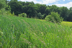 Działka na sprzedaż 6089m2 krośnieński Jedlicze Podniebyle - zdjęcie 1