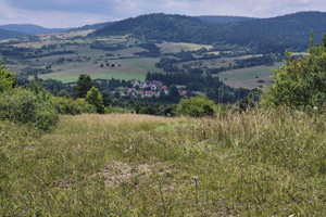 Działka na sprzedaż 9300m2 krośnieński Dukla Posada Jaśliska - zdjęcie 3