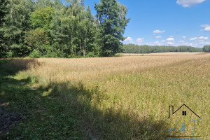 Działka na sprzedaż 5700m2 łaski Łask Anielin - zdjęcie 1