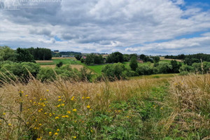 Działka na sprzedaż 10602m2 gorlicki Biecz Sitnica - zdjęcie 1