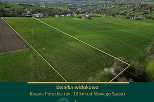 Działka na sprzedaż 8200m2 nowosądecki Chełmiec Krasne Potockie - zdjęcie 1