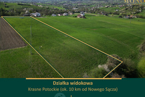 Działka na sprzedaż 8200m2 nowosądecki Chełmiec Krasne Potockie - zdjęcie 1