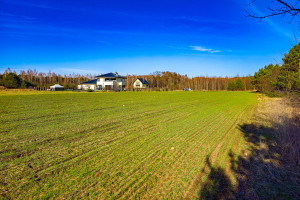 Działka na sprzedaż 19141m2 grodziski Żabia Wola Bartoszówka Pogodna - zdjęcie 2