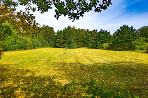 Działka na sprzedaż 19041m2 grodziski Żabia Wola Petrykozy Główna - zdjęcie 1