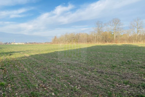 Działka na sprzedaż 1000m2 warszawski zachodni Błonie Dębówka - zdjęcie 1