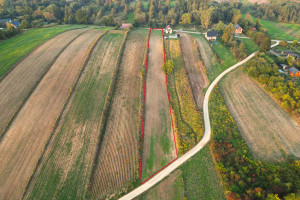 Działka na sprzedaż 4097m2 miechowski Miechów Biskupice - zdjęcie 2