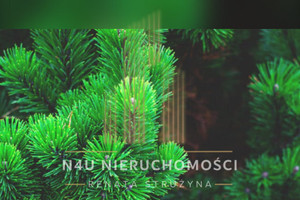 Działka na sprzedaż mazowieckie pruszkowski Nadarzyn - zdjęcie 1