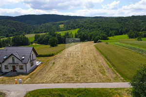 Działka na sprzedaż 3000m2 bocheński Lipnica Murowana Lipnica Dolna - zdjęcie 1