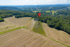 Działka na sprzedaż 10100m2 brzeski Brzesko Poręba Spytkowska - zdjęcie 3