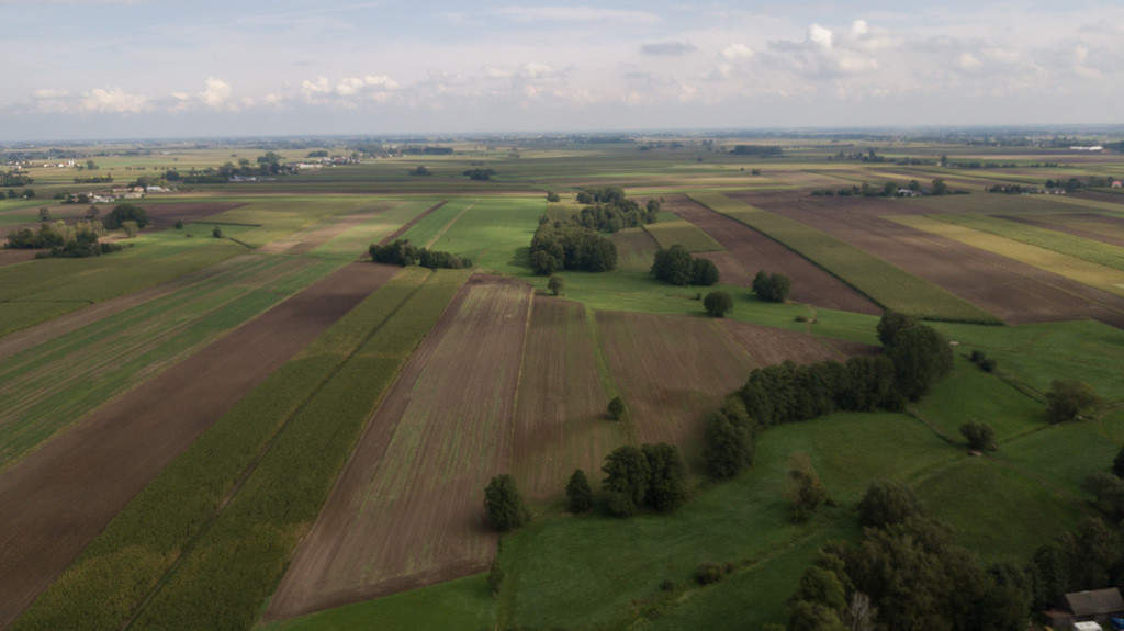 Gospodarstwo na sprzedaż 16,6 ha z zabudowaniami,