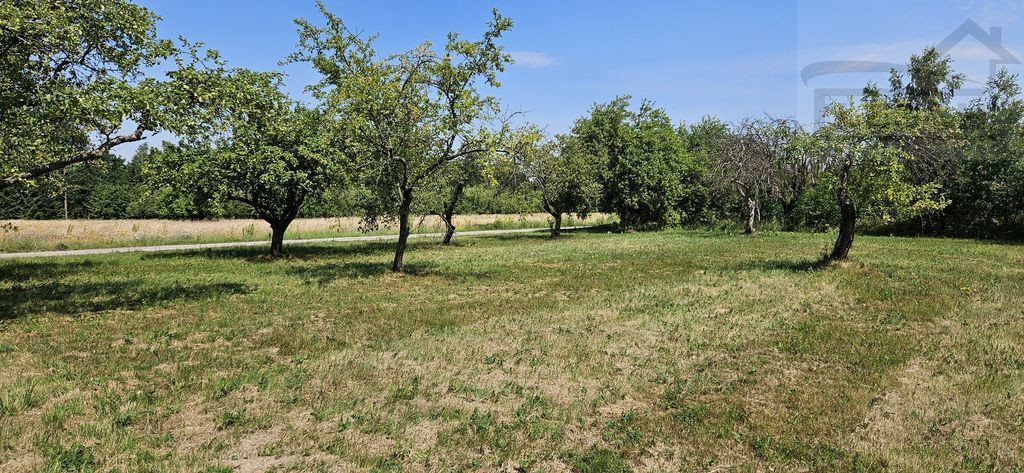 Działka budowlana w Ojrzanowie