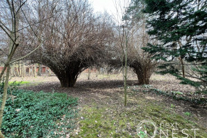 Działka na sprzedaż pruszkowski Brwinów - zdjęcie 1