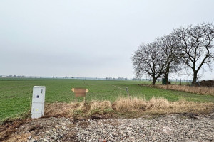 Działka na sprzedaż 689m2 szamotulski Kaźmierz Kaźmierz Czereśniowa - zdjęcie 1