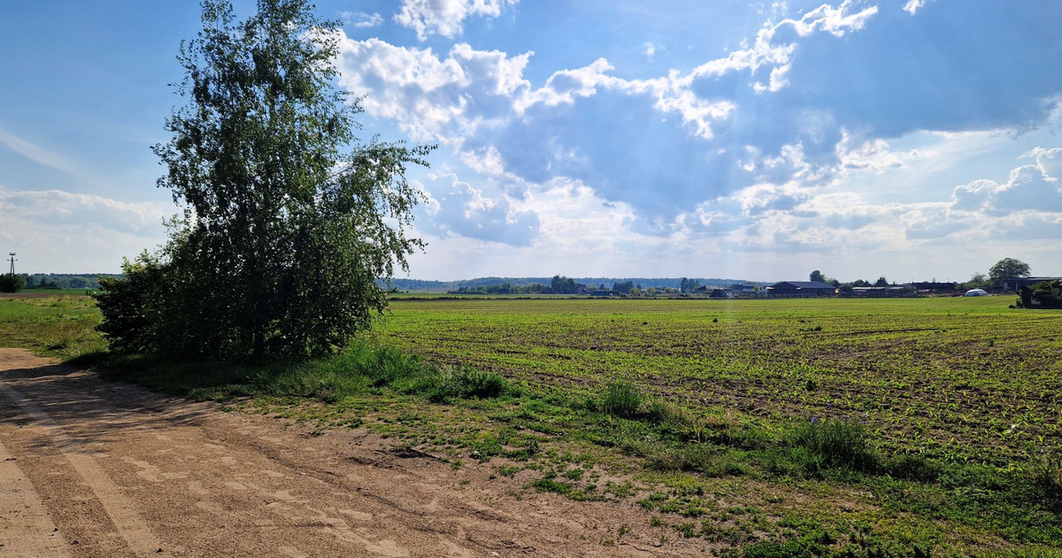 Dwie działki obok siebie, każda 609 m2, miejscowy plan: zabudowa bliźniacza