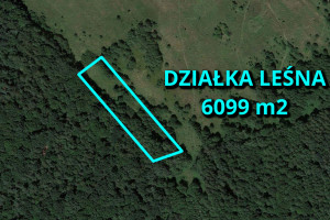 Działka na sprzedaż 6099m2 częstochowski Kamienica Polska - zdjęcie 1