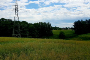 Działka na sprzedaż 6250m2 rybnicki Świerklany - zdjęcie 1