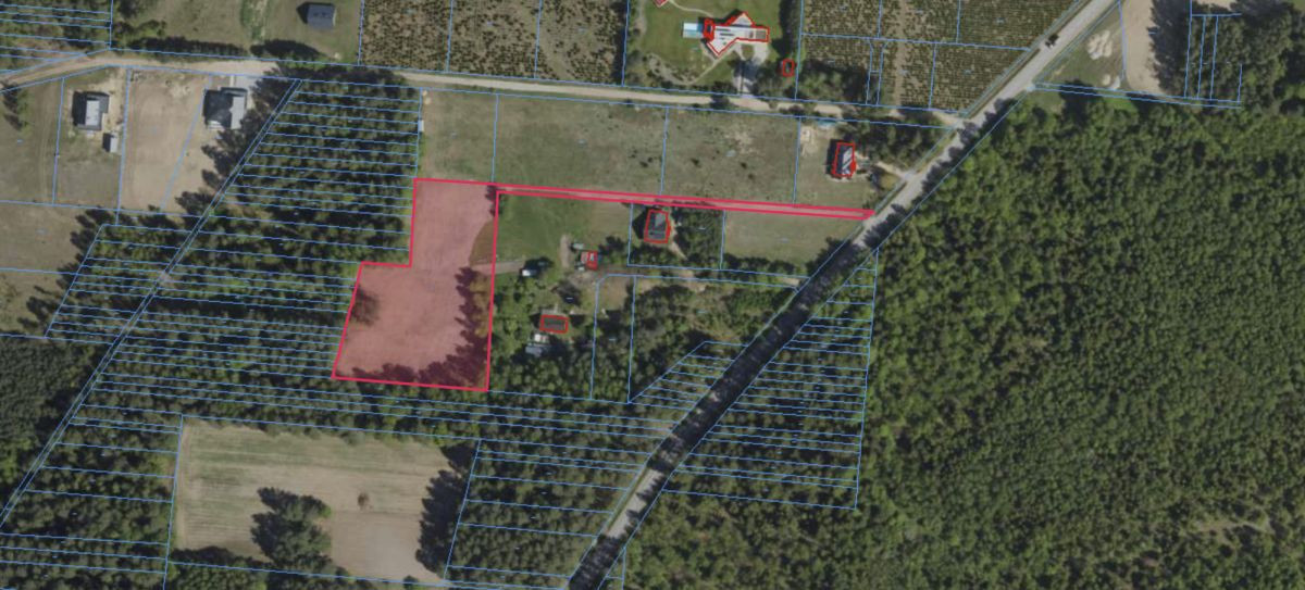 7 800 m² – Ciasne | Las | Warunki na 4 domy