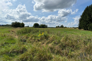 Działka na sprzedaż 30496m2 zgorzelecki Zgorzelec Jerzmanki - zdjęcie 2