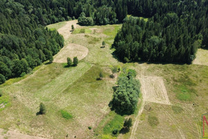 Działka na sprzedaż 8090m2 suski Stryszawa Hucisko - zdjęcie 3