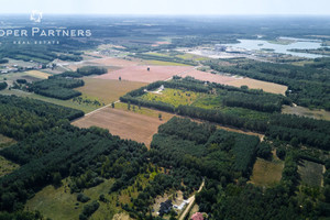 Działka na sprzedaż 48300m2 żyrardowski Mszczonów Marków-Świnice Spacerowa - zdjęcie 1