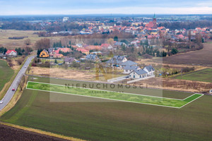 Działka na sprzedaż 2995m2 lubiński Ścinawa Chobieńska - zdjęcie 2