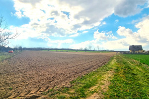 Działka na sprzedaż 3905m2 kielecki Pierzchnica Gumienice - zdjęcie 3