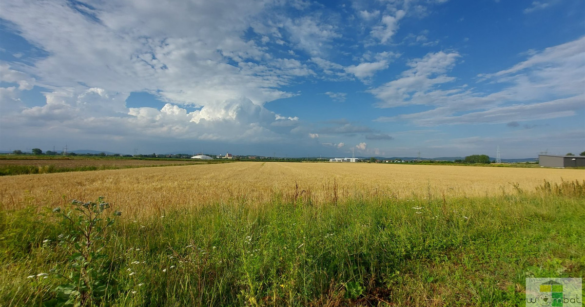 Na sprzedaż uzbrojone działki w Pieszycach