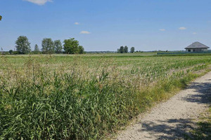 Działka na sprzedaż 1085m2 warszawski zachodni Leszno Ogrodowa - zdjęcie 1