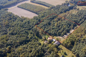 Działka na sprzedaż 12500m2 buski Gnojno Wola Bokrzycka - zdjęcie 1