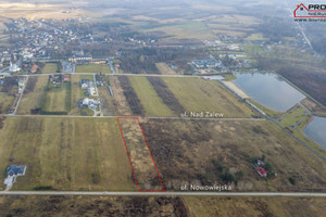 Działka na sprzedaż 8200m2 buski Solec-Zdrój - zdjęcie 1