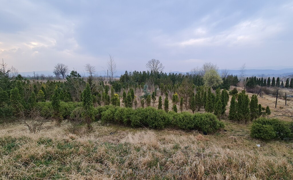 Do wynajęcia działka ogrodnicza Sosnowa