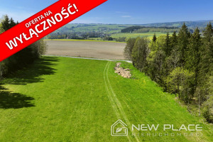 Działka na sprzedaż 1004m2 kłodzki Szczytna - zdjęcie 1