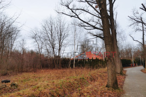 Działka na sprzedaż 6479m2 grodziski Grodzisk Mazowiecki - zdjęcie 1